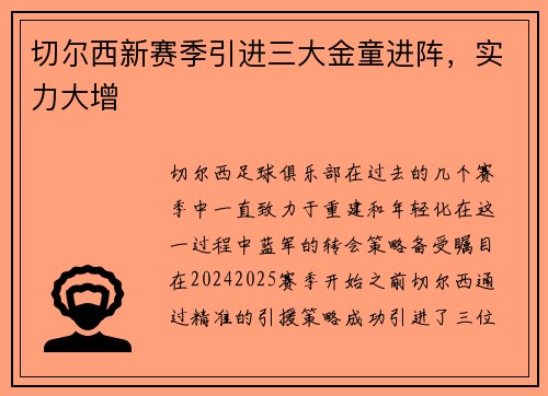 切尔西新赛季引进三大金童进阵，实力大增