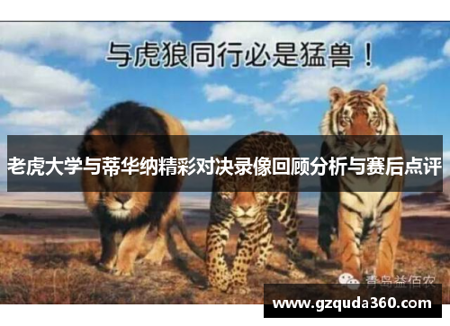 老虎大学与蒂华纳精彩对决录像回顾分析与赛后点评